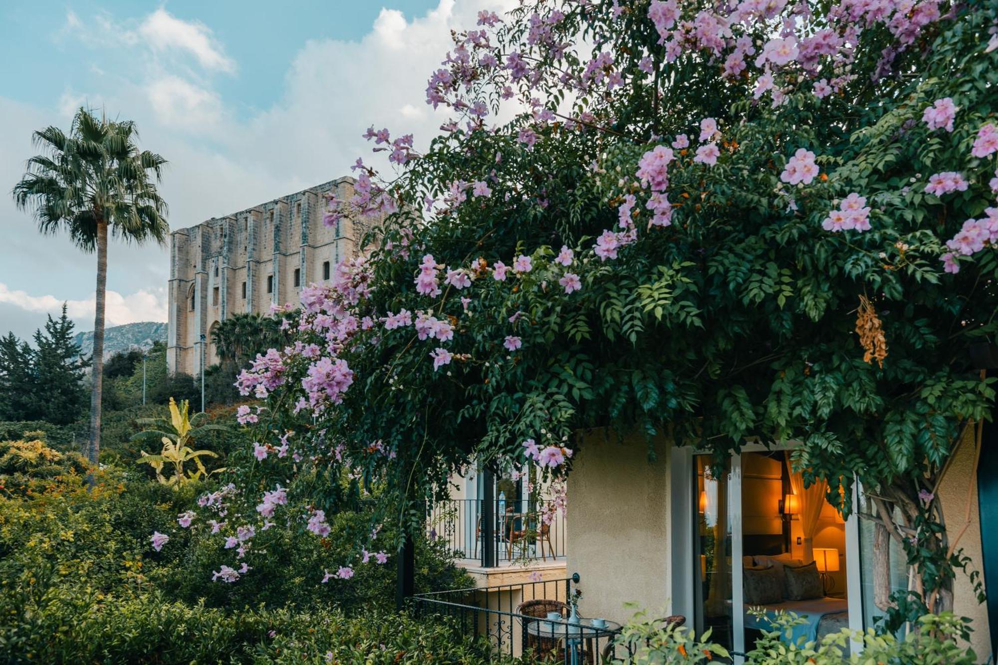 Auberge de jeunesse Bellapais Gardens Extérieur photo