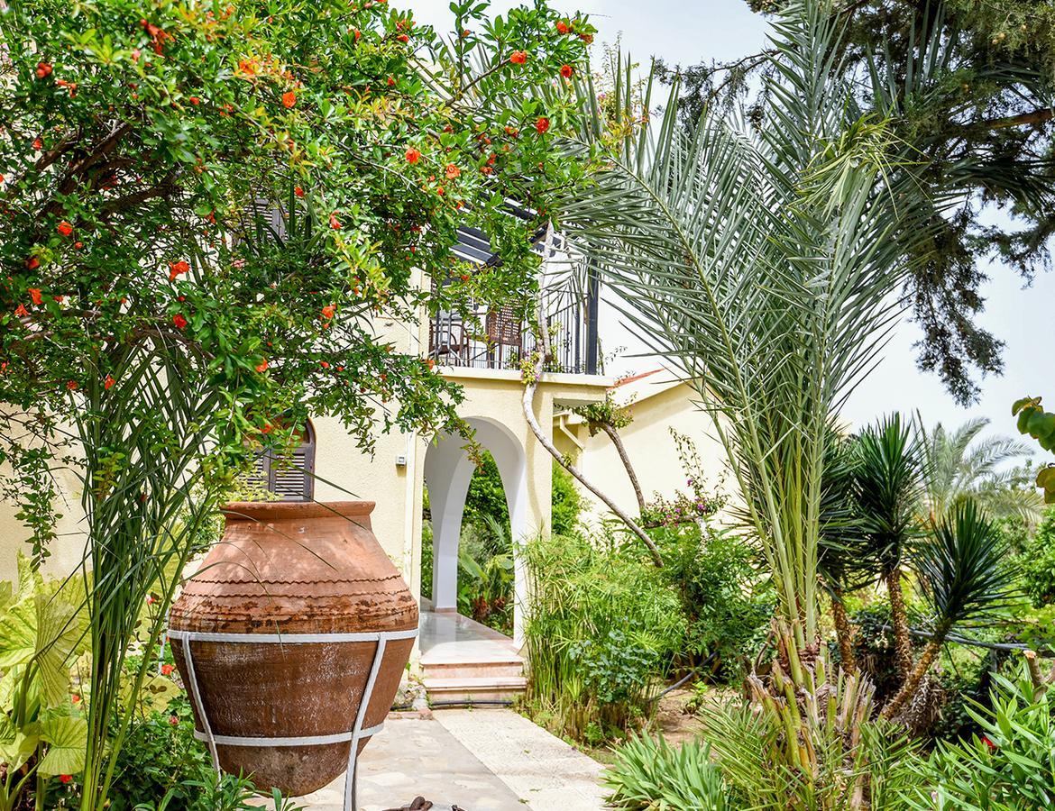 Auberge de jeunesse Bellapais Gardens Extérieur photo